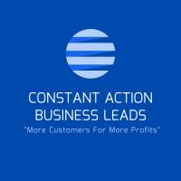 Constant Action Business Leads image 3